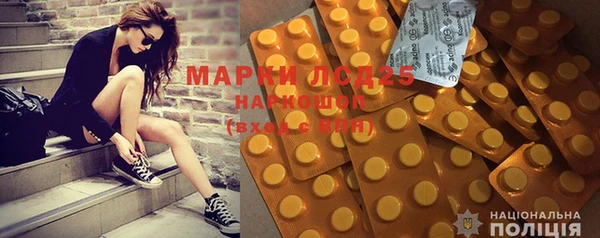 ПСИЛОЦИБИНОВЫЕ ГРИБЫ Михайловка